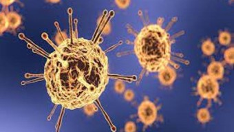 দক্ষিণাঞ্চলে ৪৮ ঘন্টায় নতুন আক্রান্ত ৫৮ জন