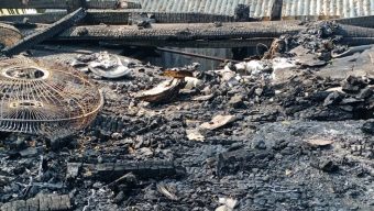 কলাপাড়ায় অগ্নিকাণ্ডে জেলের বসতঘর পুড়ে ছাই