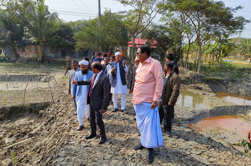 আমতলীতে সমলয় পদ্ধতিতে চাষাবাদের উদ্বোধন