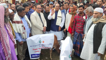 কলাপাড়ায় জেলেদের মাঝে জাল ও গরু বিতরণ