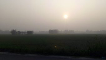 বরিশালের আকাশে দেখা মিলল সূর্যের, শিগগিরই কমছে না শীতের অনুভূতি