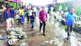 বরিশালের নদ-নদীতে কমেছে ইলিশসহ বিভিন্ন প্রজাতির মাছ আহরণ