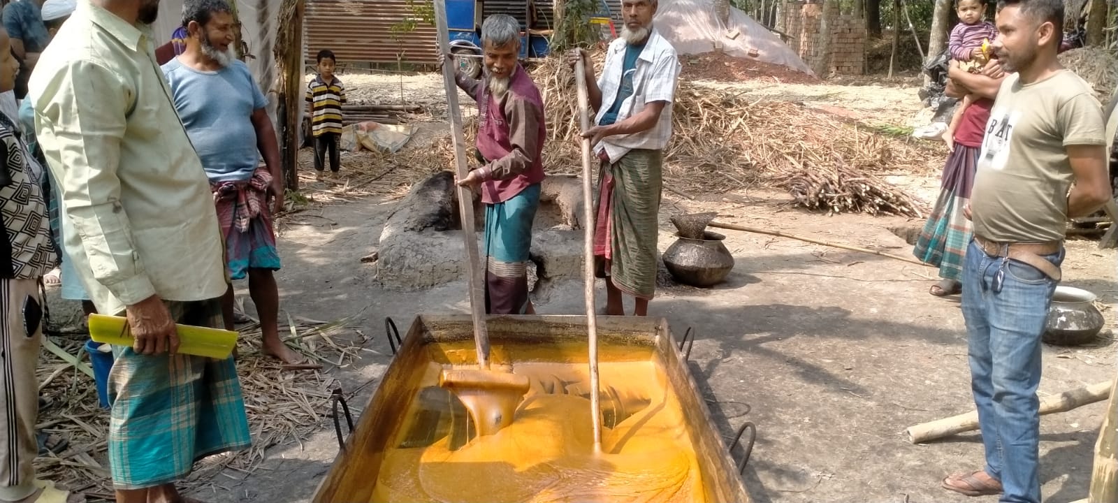 সরকারি পৃষ্ঠপোষকতার অভাবে আখ চাষ বিলুপ্তের পথে