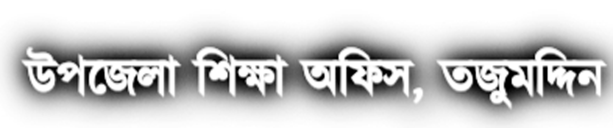 জনবল সংকটে তজুমদ্দিনে বেহাল প্রাথমিক শিক্ষা
