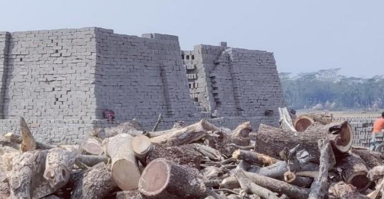 অবৈধ ইটের ভাটায় ভ্রাম্যমান আদালতের জরিমানা