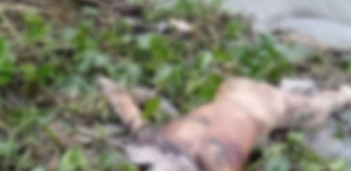 নদীতে মিলল ট্রলারমালিকের অর্ধগলিত লাশ