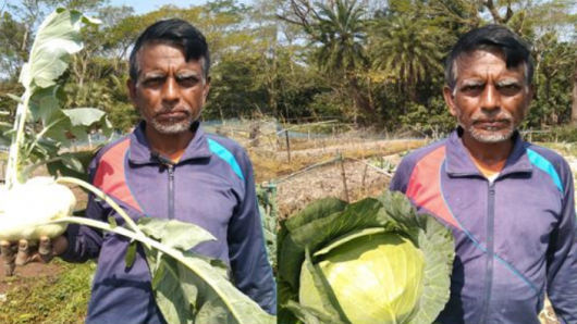 সবজি চাষে সফল লিটু, ছেড়ে দিলেন চাকরি