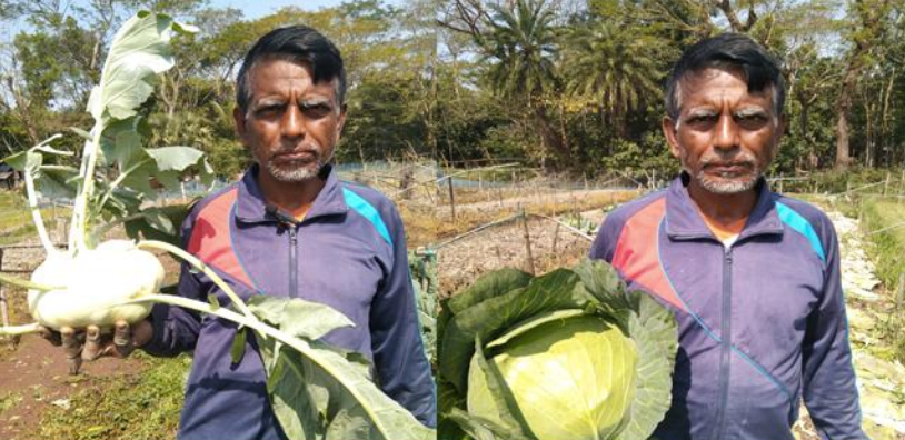 সবজি চাষে সফল লিটু, ছেড়ে দিলেন চাকরি