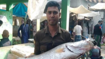 নদীতে বড়শীতে ধরা পড়ল বিশাল আকারের কোরাল