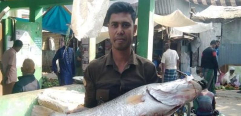 নদীতে বড়শীতে ধরা পড়ল বিশাল আকারের কোরাল