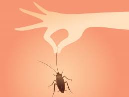 তেলাপোকার ভয় দেখিয়ে  ফ্রিতে খাচ্ছেন নেতা