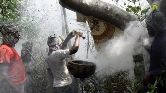 মৌয়ালদের ৭০০ বছরের অপরিবর্তিত গল্প