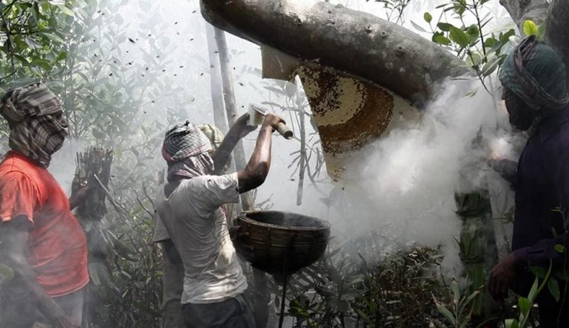 মৌয়ালদের ৭০০ বছরের অপরিবর্তিত গল্প