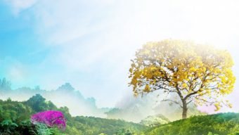 সর্বশেষ জান্নাতে প্রবেশকারী