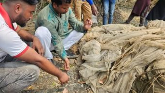 অবৈধ চায়না দুয়ারী জাল জব্দ