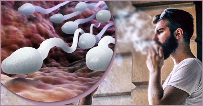 পুরুষের বন্ধ্যাত্বের কারণ হতে পারে ধূমপান