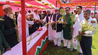 আমতলীতে বীরমুক্তিযোদ্ধাদের  সংবর্ধনা