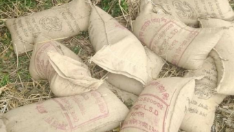 বাগান থেকে পরিত্যক্ত অবস্থায় ৩০০ কেজি সরকারি চাল উদ্ধার