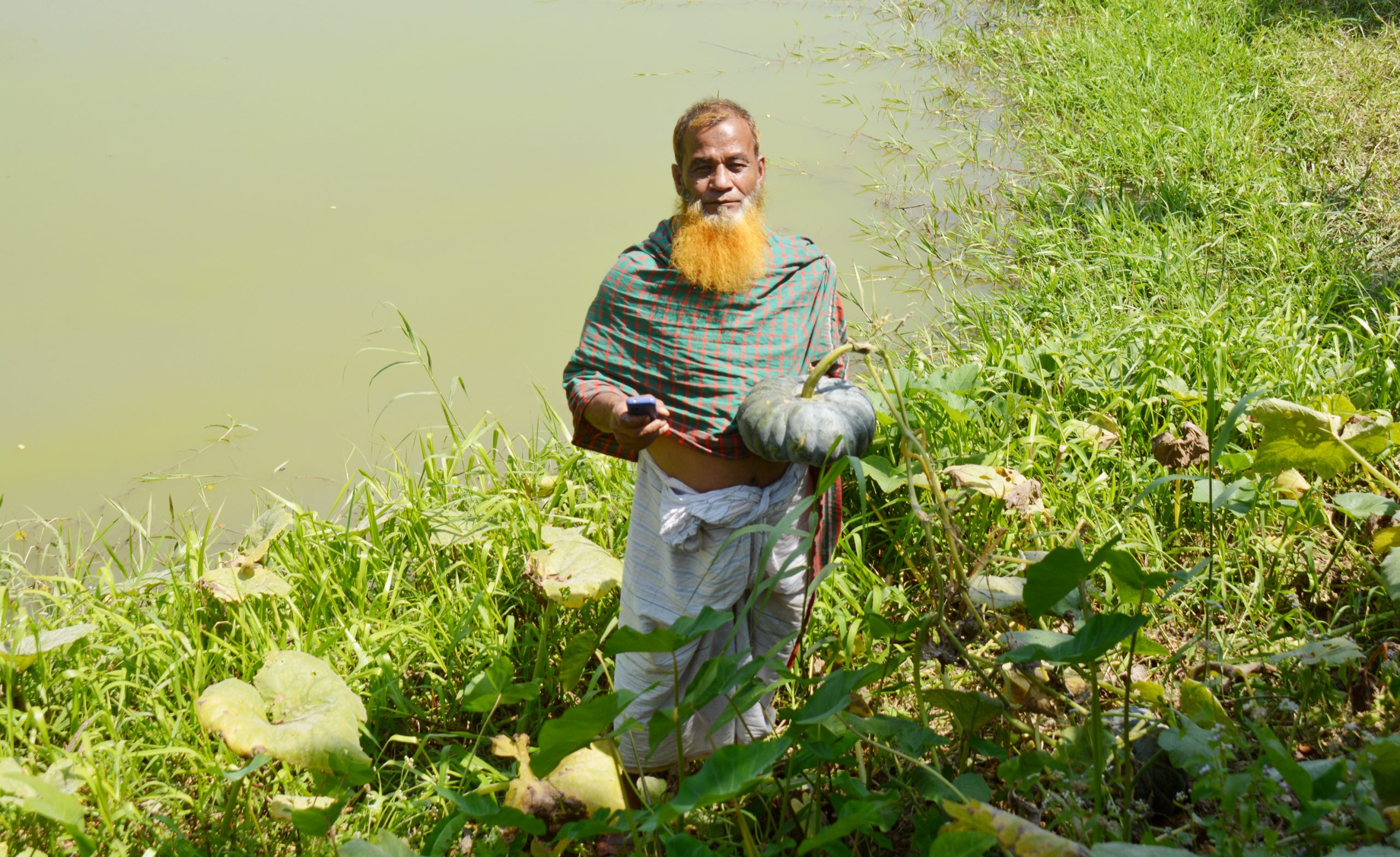 মেহেন্দিগঞ্জের গাগুরিয়ার অহিদ রাঢ়ির ঘেড় থেকে লক্ষাদিক টাকার ফসল লুঠপাট করার অভিযোগ উঠেছে