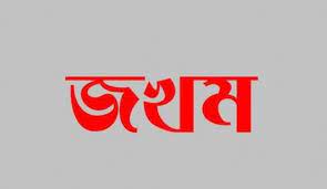 জমির আইল নিয়ে বৃদ্ধ চাচাকে পিটিয়ে  গুরুতর জখম
