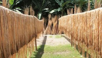 আজ জাতীয় পাট দিবস