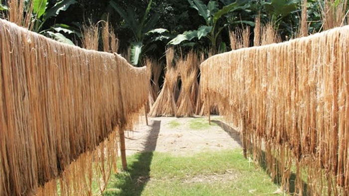 আজ জাতীয় পাট দিবস