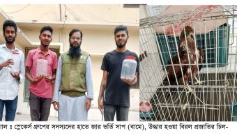 বরিশালে দালানের ছাদ থেকে কালনাগিনী উদ্ধার