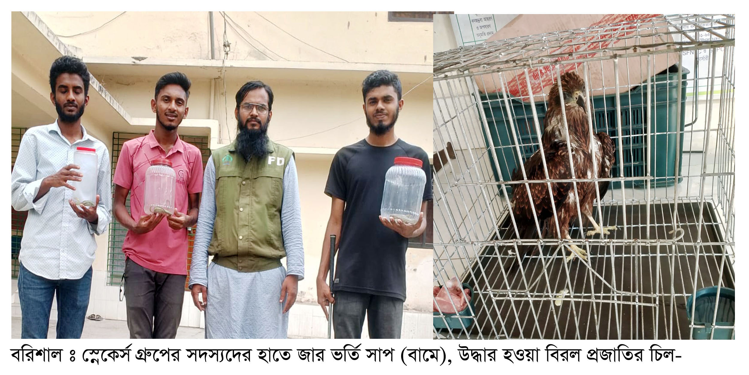 বরিশালে দালানের ছাদ থেকে কালনাগিনী উদ্ধার