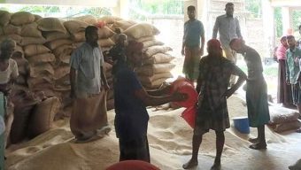 অসহায় ও দুস্থদের মাঝে  ভিজিএফের চাল বিতরণ