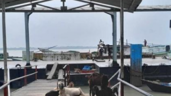 আমতলী-ঢাকা নৌ রুটে ৯ মাস ধরে লঞ্চ চলাচল বন্ধ