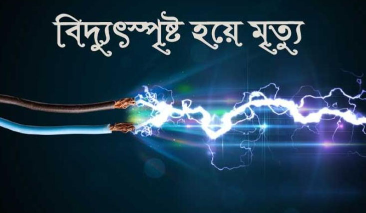 মা ও শিশু ছেলে মেয়ে সহ একই পরিবারের তিনজন মর্মান্তিক মৃত্যু হয়েছে