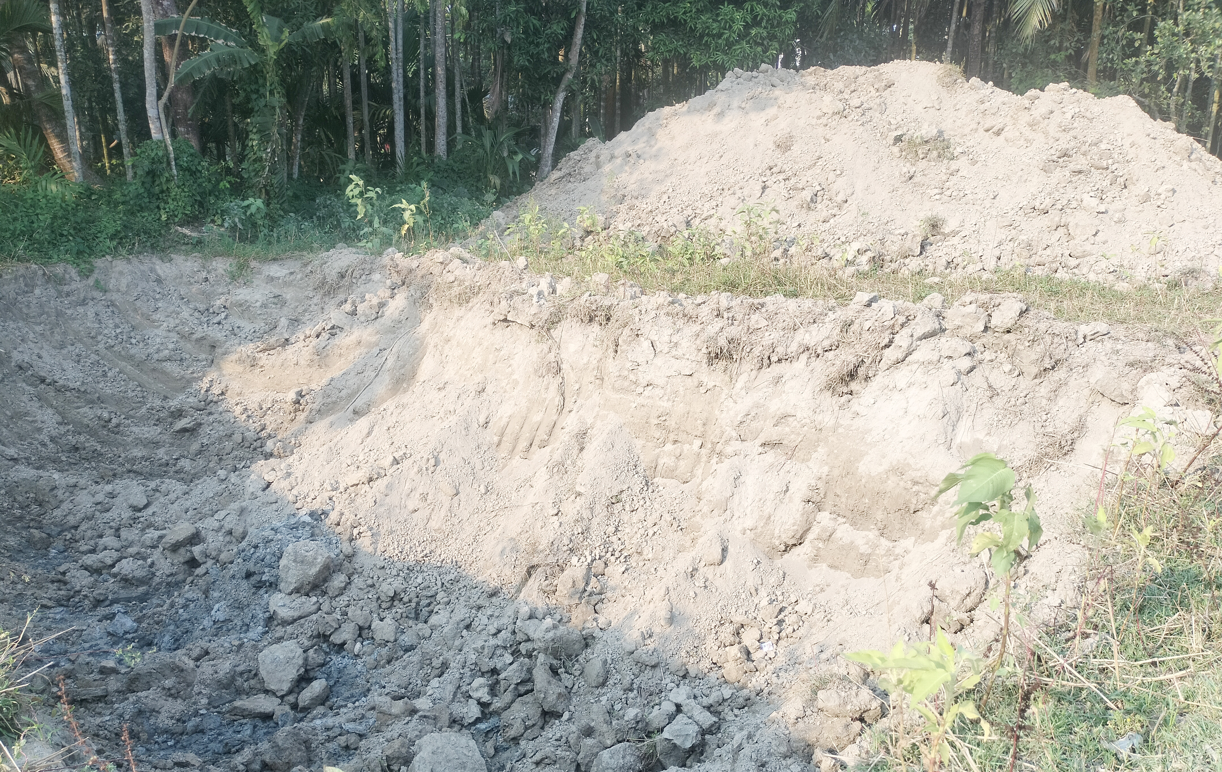 লালমোহনে মন্দিরের জমিতে জোরপূর্বক  বসতভিটা নির্মাণের অভিযোগ