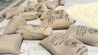 সরকারি খাদ্যগুদামের চাল চুরির ভিডিও ভাইরাল