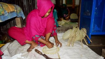 বরিশালে প্রচন্ড তাপদাহে বাড়ছে তালপাখার চাহিদা