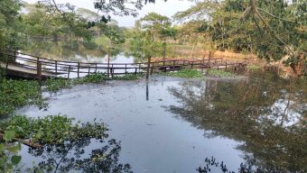 আমতলীতে সেতু ধসে ৪ গ্রামের সড়ক  যোগাযোগ বন্ধ