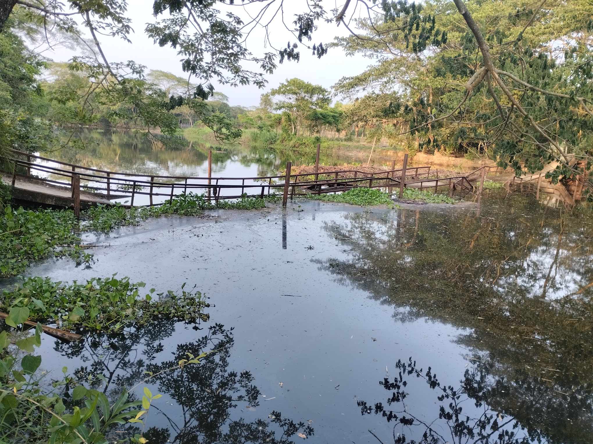 আমতলীতে সেতু ধসে ৪ গ্রামের সড়ক  যোগাযোগ বন্ধ