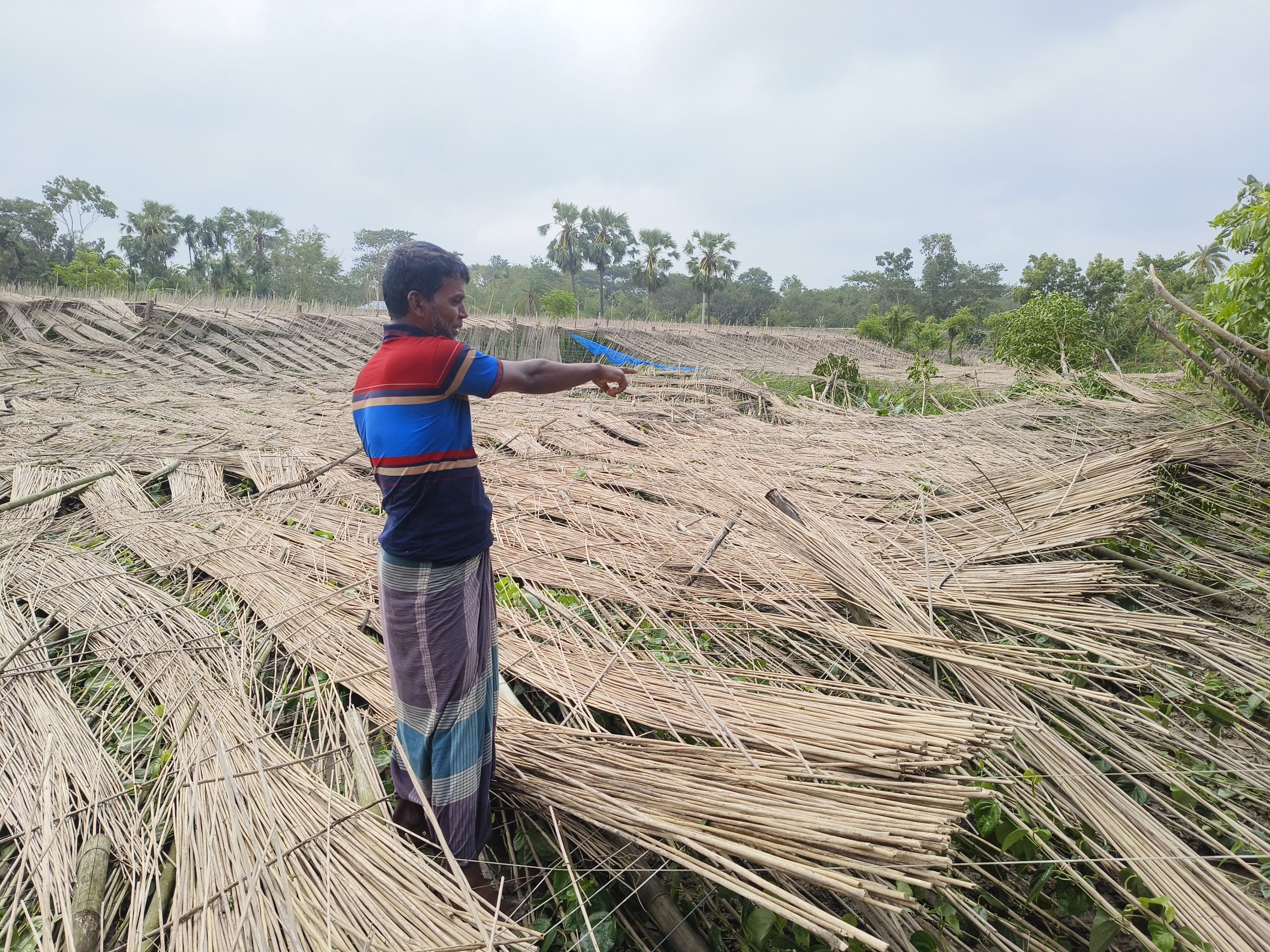 বইন্যায় মোগো সব শ্যাষ কইরা হালাইছে