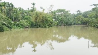 লালমোহনে ঘূর্ণিঝড় রেমালের প্রভাবে ভেসে গেছে কোটি টাকার মাছ