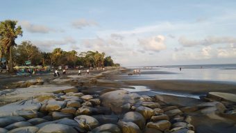 কুয়াকাটা সৈকতে ভেসে এসেছে ৭ ফুট লম্বা মৃত ইরাবতী ডলফিন