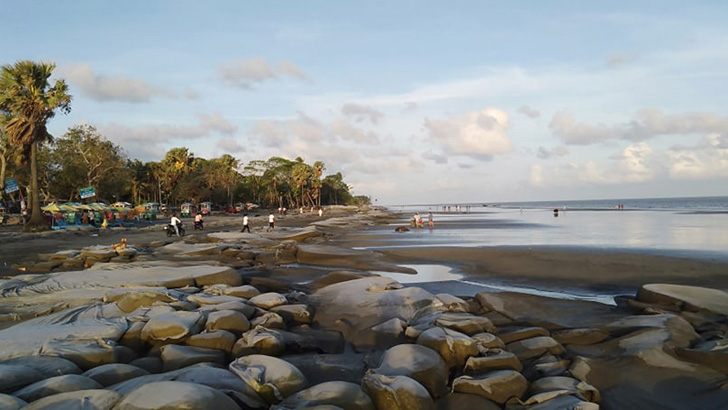 কুয়াকাটা সৈকতে ভেসে এসেছে ৭ ফুট লম্বা মৃত ইরাবতী ডলফিন