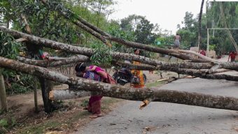 ঠাকুরগাঁওয়ে ১২ মিনিটের ঝড়ে লণ্ডভণ্ড ২০ গ্রাম, নিহত ৩