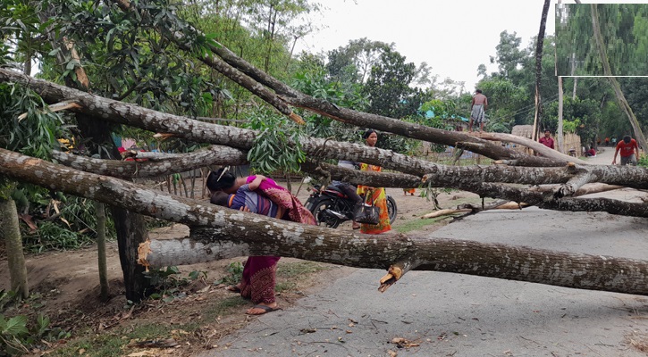 ঠাকুরগাঁওয়ে ১২ মিনিটের ঝড়ে লণ্ডভণ্ড ২০ গ্রাম, নিহত ৩