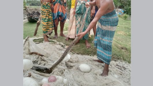 পাথরঘাটায় খালের পাড় থেকে অজগর সাপ উদ্ধার