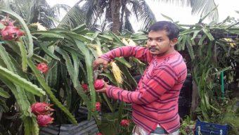 পটুয়াখালীতে শিক্ষকতার পাশাপাশি ছাদ বাগান করে সফল শামীম