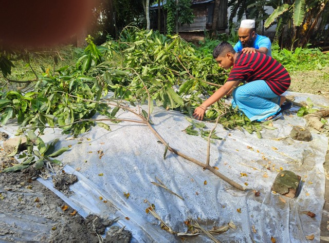 মায়ের জন্য কিছুতেই কান্না থামছে না শিশু রাহিয়ানের