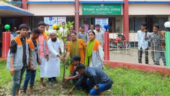 আমতলীতে এনএসএস ও ওয়ার্ল্ড ভিশনের বৃক্ষরোপন কর্মসূচীর উদ্বোধন