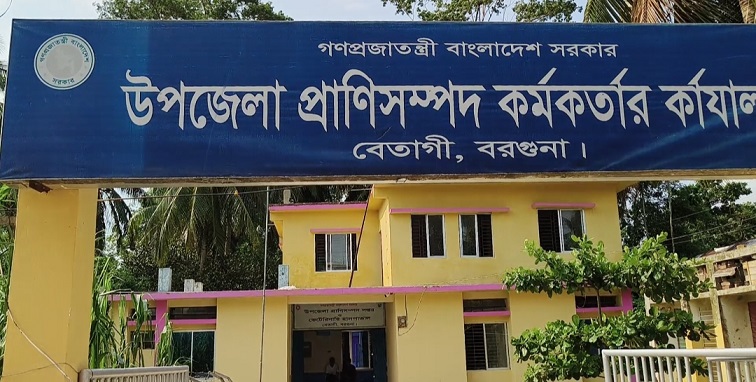 বেতাগী প্রাণিসম্পদ কর্মকর্তাদের অবহেলায় চিকিৎসাসেবা থেকে বঞ্ছিত মানুষ