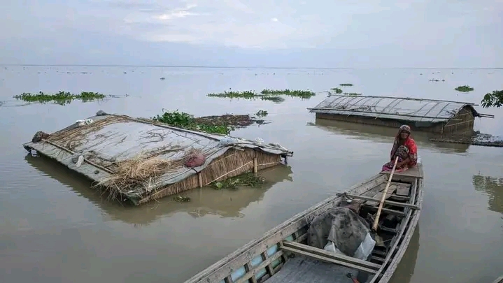 কুড়িগ্রামে বন্যায় ব্রহ্মপুত্রের চরে টিকে থাকার লড়াই