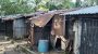 লালমোহনে আবাসনের বাসিন্দারা চরম দুর্ভোগে বসবাস করছেন