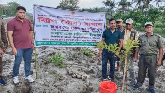 কুয়াকাটা সৈকতের ১০ কি. মি. জুড়ে এক লাখ বৃক্ষ রোপণ চলছে